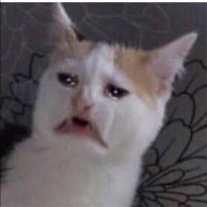 Meet your Posher, Savien